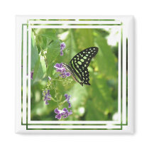 Garden Butterfly Magnet