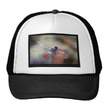 Garden critters - Dragonfly 004 Trucker Hat