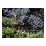 Garden Delight, S Cyr Cards