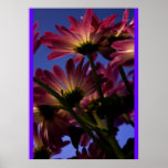 Garden Dusk Poster