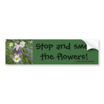 Garden Fairy Bumper Stickers