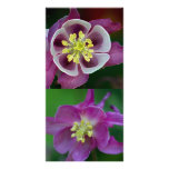 Garden Flowers Photo Card