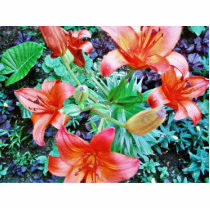 Garden Flowers Cut Out