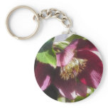 Garden Hellebore In Spring Sunshine keychains