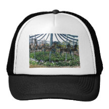 garden horse hats