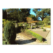 Garden In The Rookery, Streatham Common Photographic Print