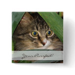 Garden Kitty buttons