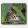 Garden Kitty Mouse Pad