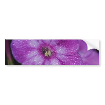 Garden Laura Phlox Flowers-007 Bumper Stickers