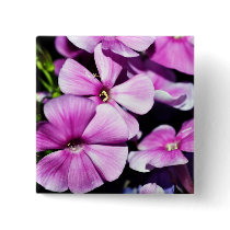 Garden Laura Phlox Flowers Pinback Button