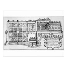 Garden of the Grand Duke of Tuscany on the Trinita Postcards