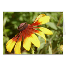 Garden Party Dress Card