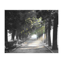 Garden Path Gallery Wrapped Canvas