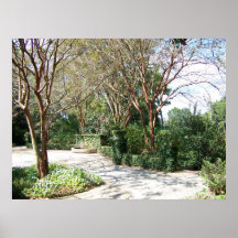 Garden Path Poster