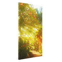 Garden Path Stretched Canvas Prints