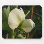 Garden pea flower ~ mousepad
