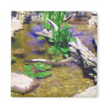 Garden Pond Magnet