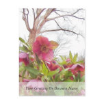 Garden Scene - Hellebores And Old Oak postcards