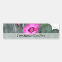 Garden Scenes - Cottage Pinks Bumper Sticker
