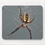 Garden Spider Macro mousepads