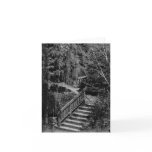 Garden Stairway in Monochrome Card