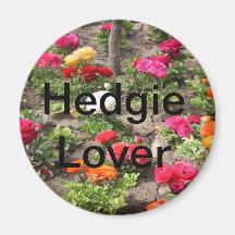 Garden Themed Hedgehog Prouducts Refrigerator Magnets