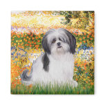 Garden (VG) - Shih Tzu (A1) magnets