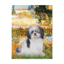 Garden (VG) - Shih Tzu (A1)