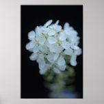 Garden Weed posters
