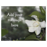 Gardenia Background Flyer