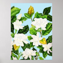 Gardenia Blue Sky Poster