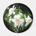 Gardenia Fridge Magnet