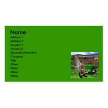Gardening Fairy Faery Business Cards