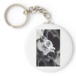 Gargoyle Amiens France 1905 Vintage keychains