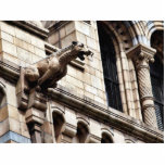 Gargoyle At The British Natural History Museum Cut Outs