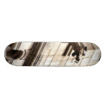 Gargoyle At The British Natural History Museum Skateboard