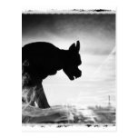 GARGOYLE NOTRE DAME PARIS FRANCE POST CARD