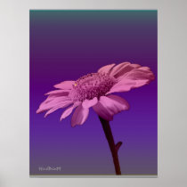 Garland Chrysanthemum Print