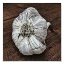 Garlic photo