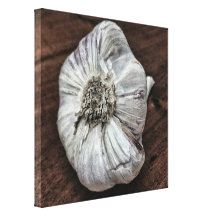 Garlic photo stretched canvas prints