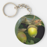 Gary oak tree fruit (quercus garryana) key chain