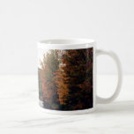 Gaspereau River, Nova Scotia, Canada at the Cornis Mug