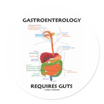Gastroenterology Requires Guts (Digestive System)