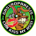 Gastroparesis Can Kiss My Ass photo sculptures