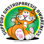 Gastroparesis Cat Photo Cutout