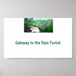 Gateway to the Rain Forest posters