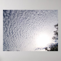 Gathering Cotton Posters