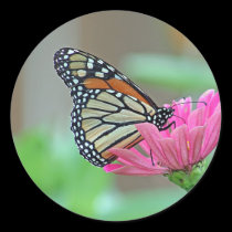 Gathering Nectar stickers