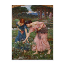 Gathering Rosebuds Post Card