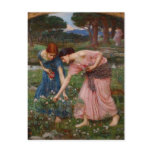 Gathering Rosebuds postcards